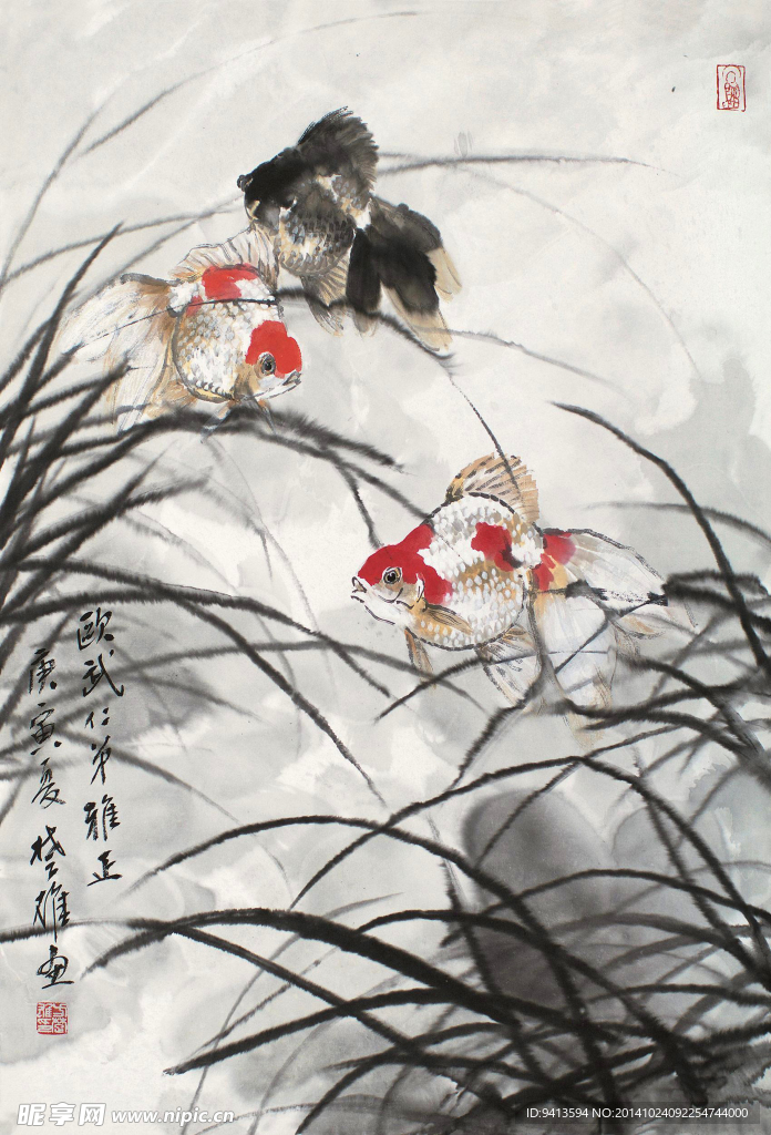 金鱼