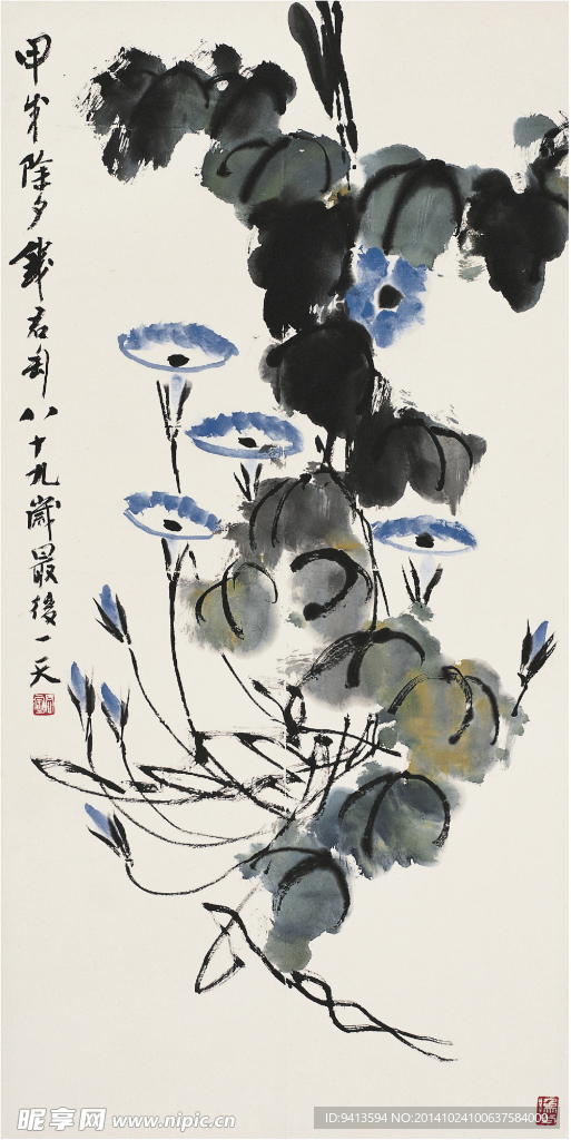 蓝牵牛