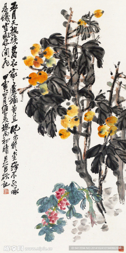 枇杷图