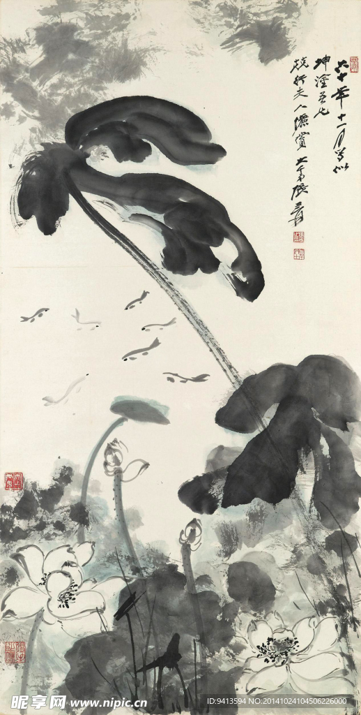 荷花游鱼