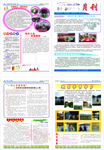 公司月刊