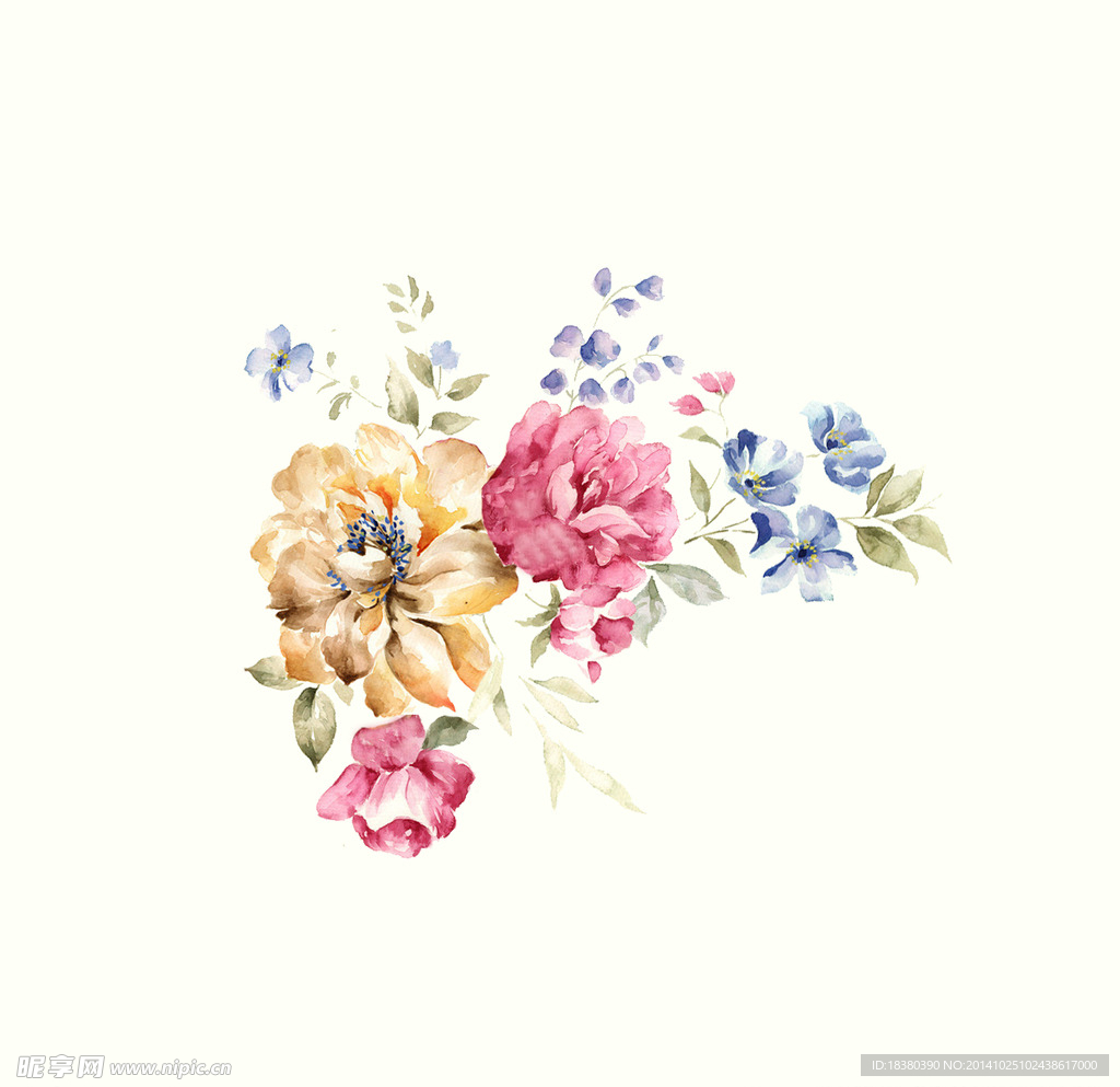 植物 花