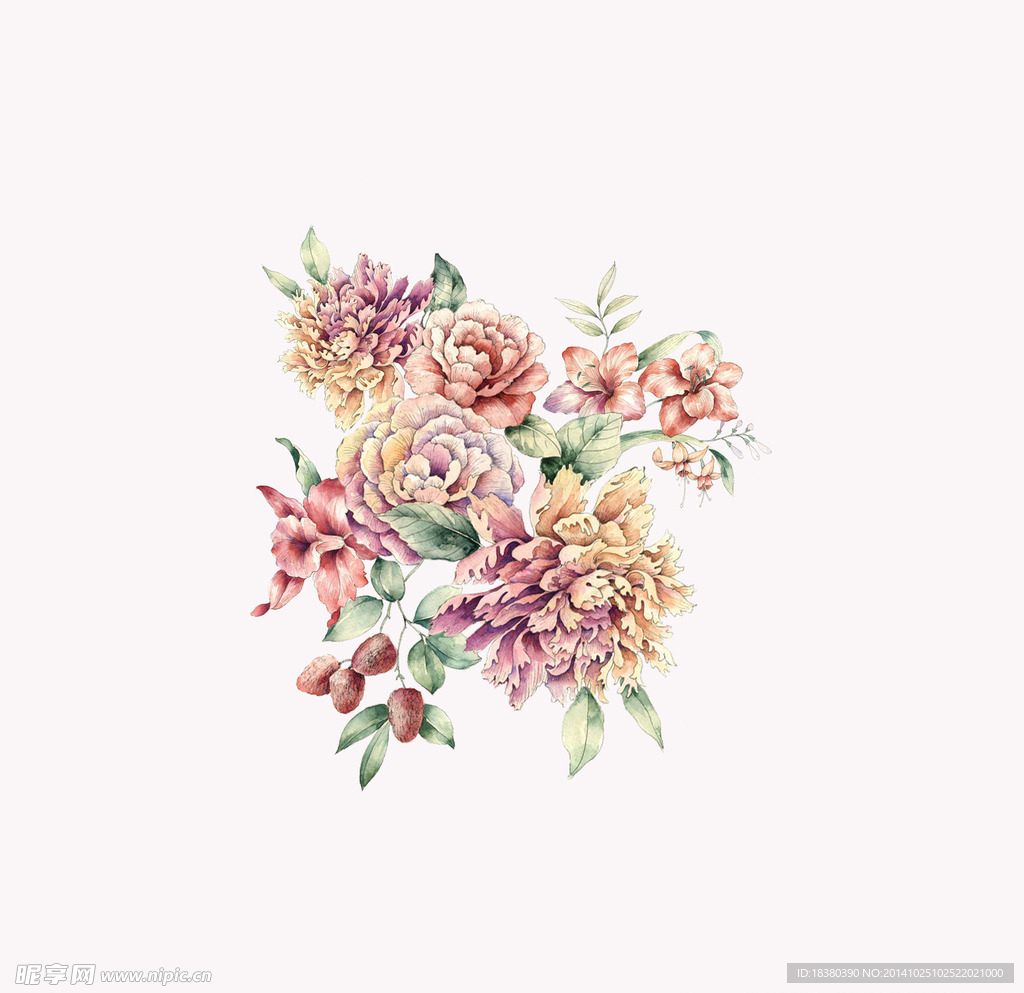 植物 花