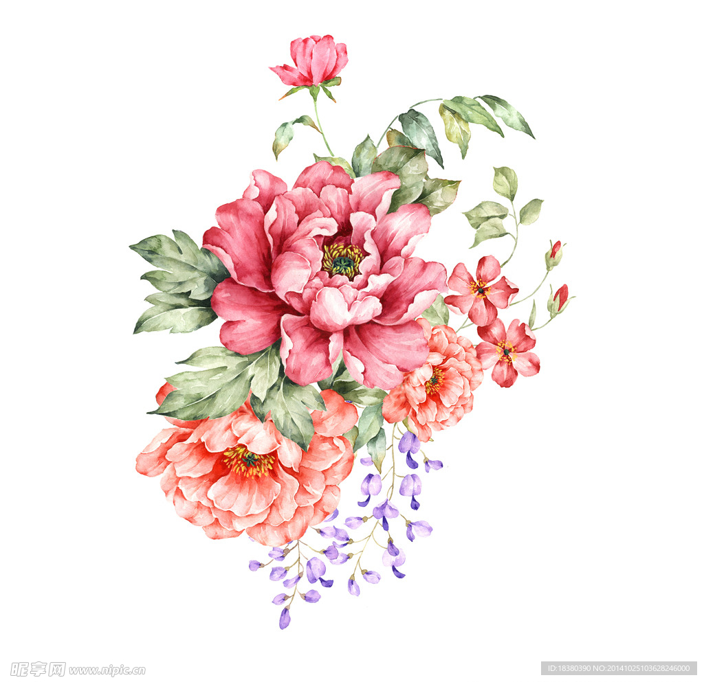 植物 花