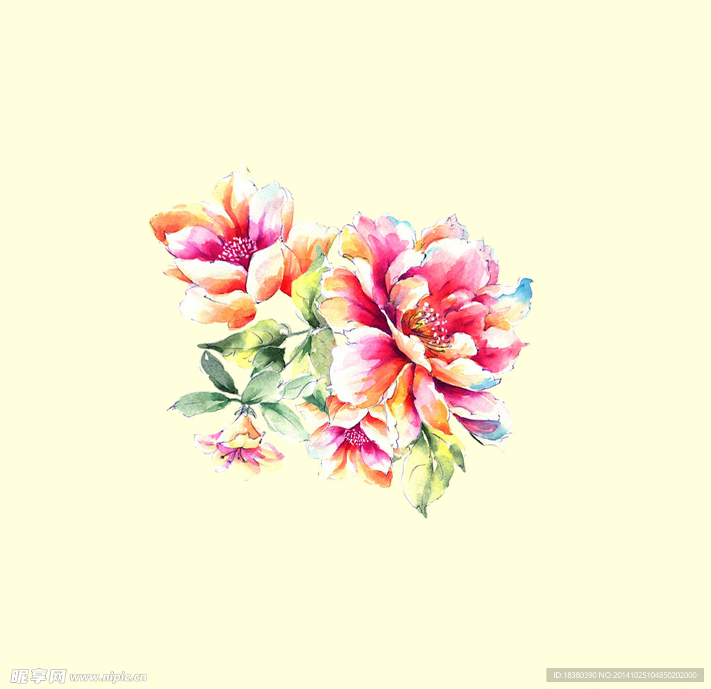 植物 花