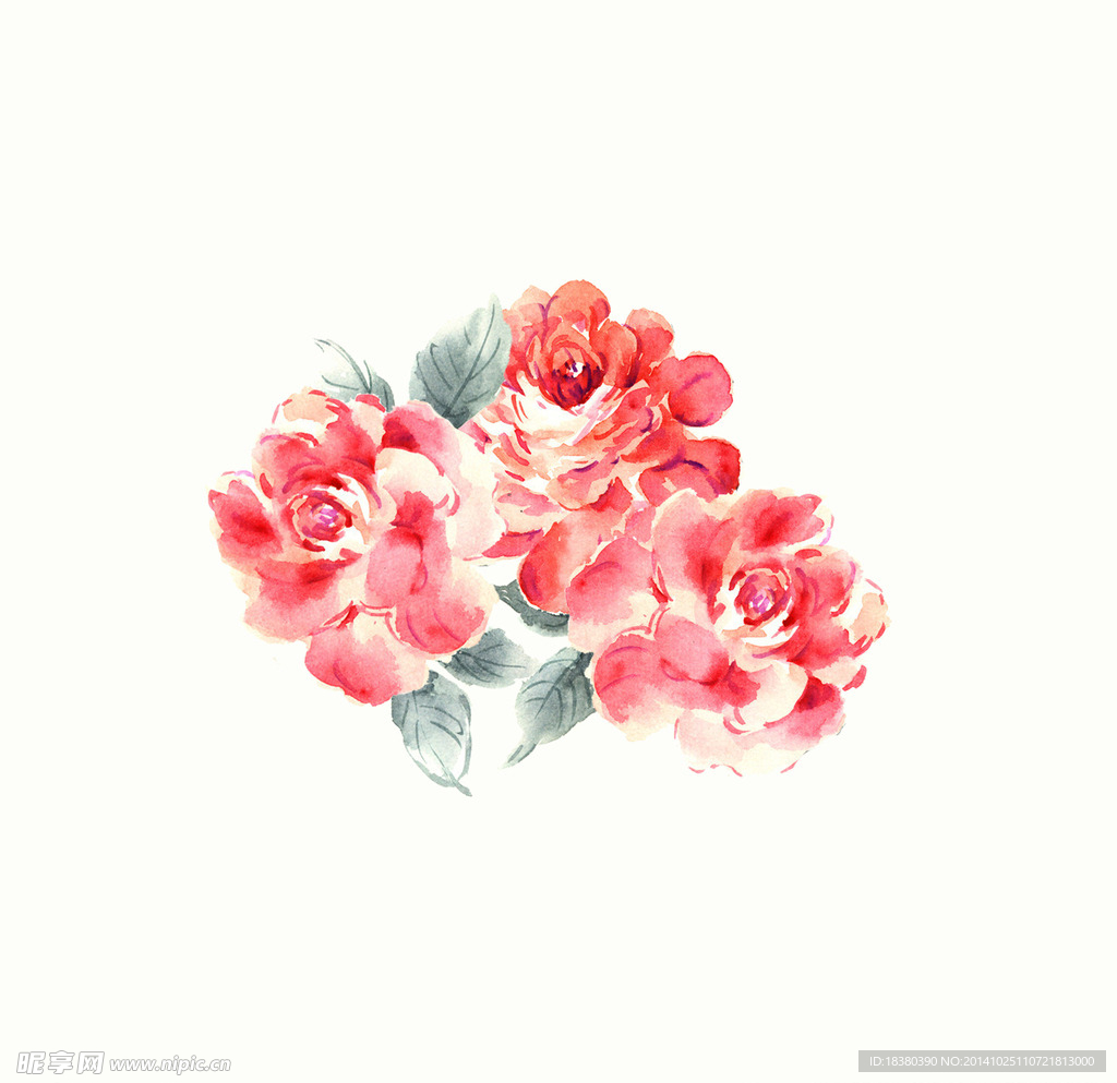 植物 花
