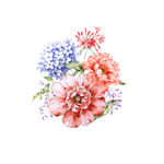 植物 花