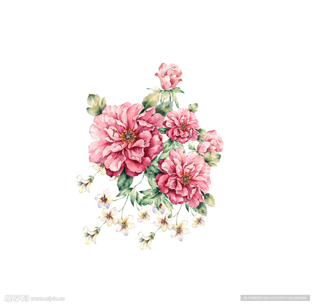 植物 花