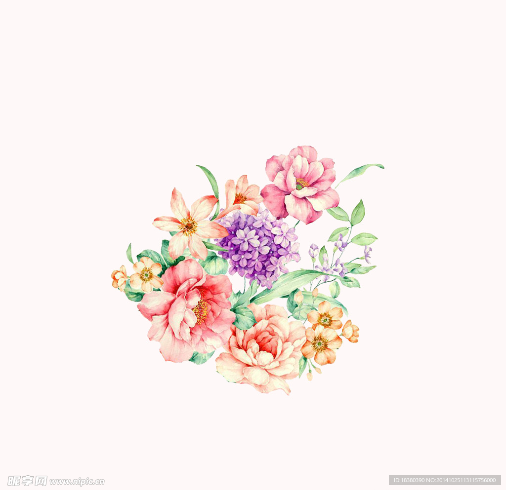 植物 花
