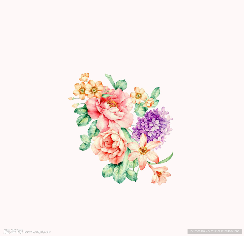 植物 花 玫瑰花 牡丹