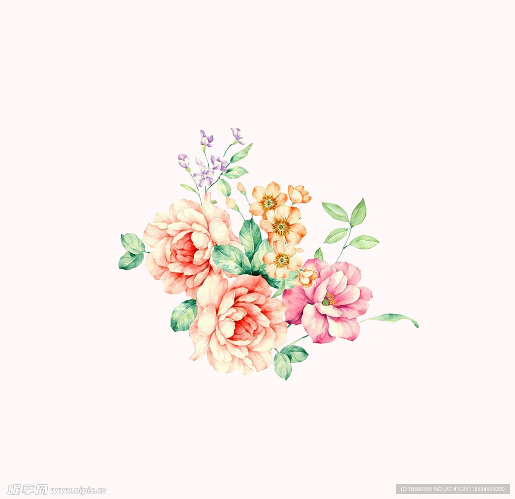 植物 花 玫瑰花 牡丹