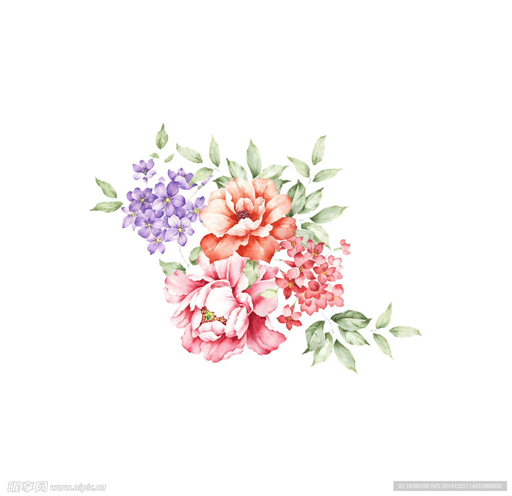 植物 花