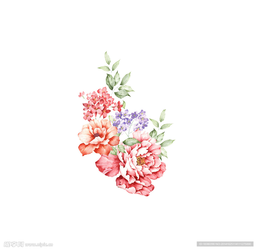 植物 花