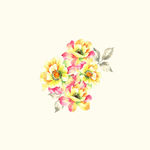 植物 花