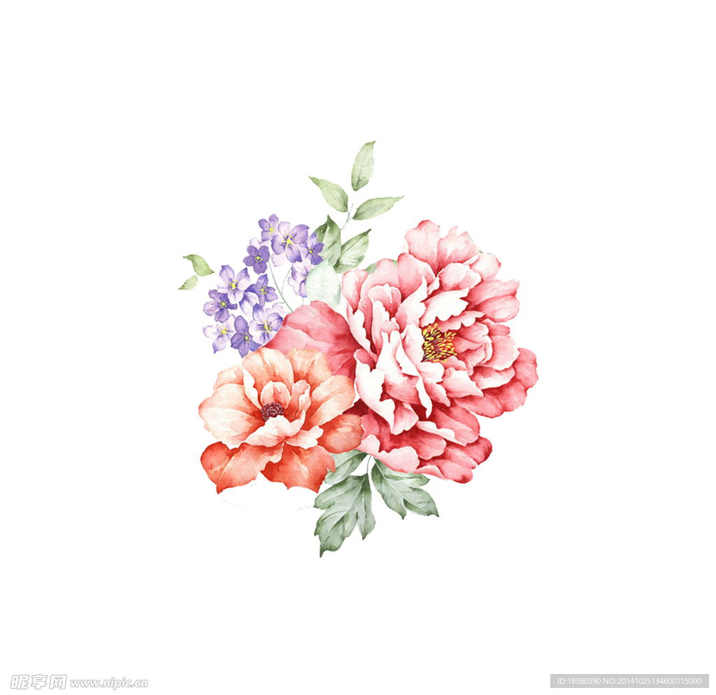 植物 花