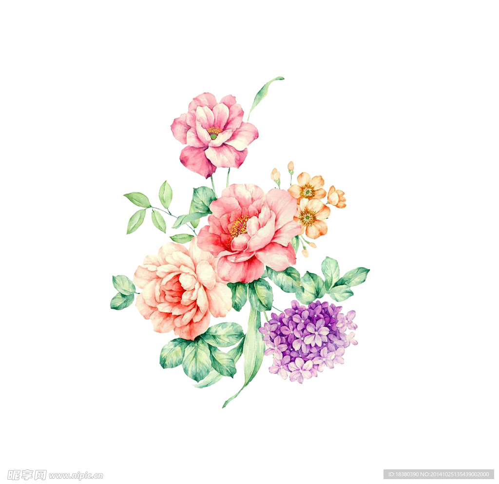 植物 花