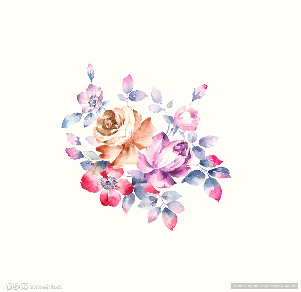 植物 花