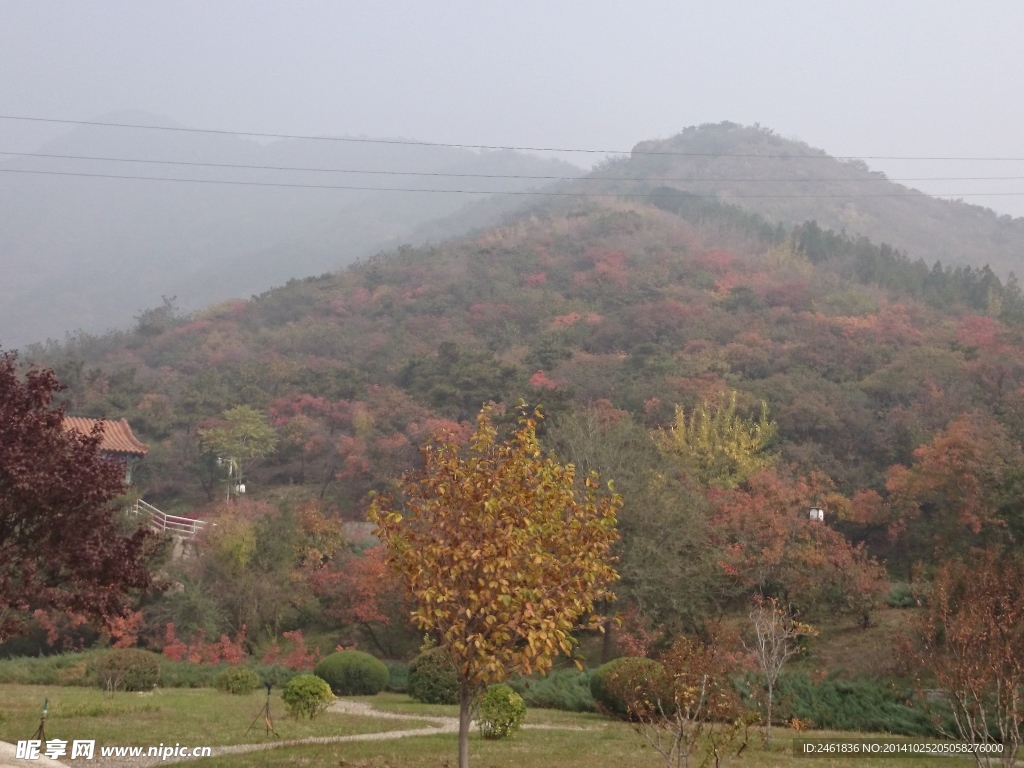 红叶满山