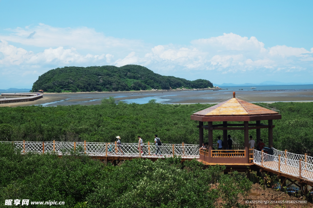 红树林湿地公园