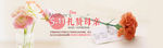 母亲节banner