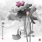 荷花