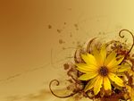 鲜花底纹