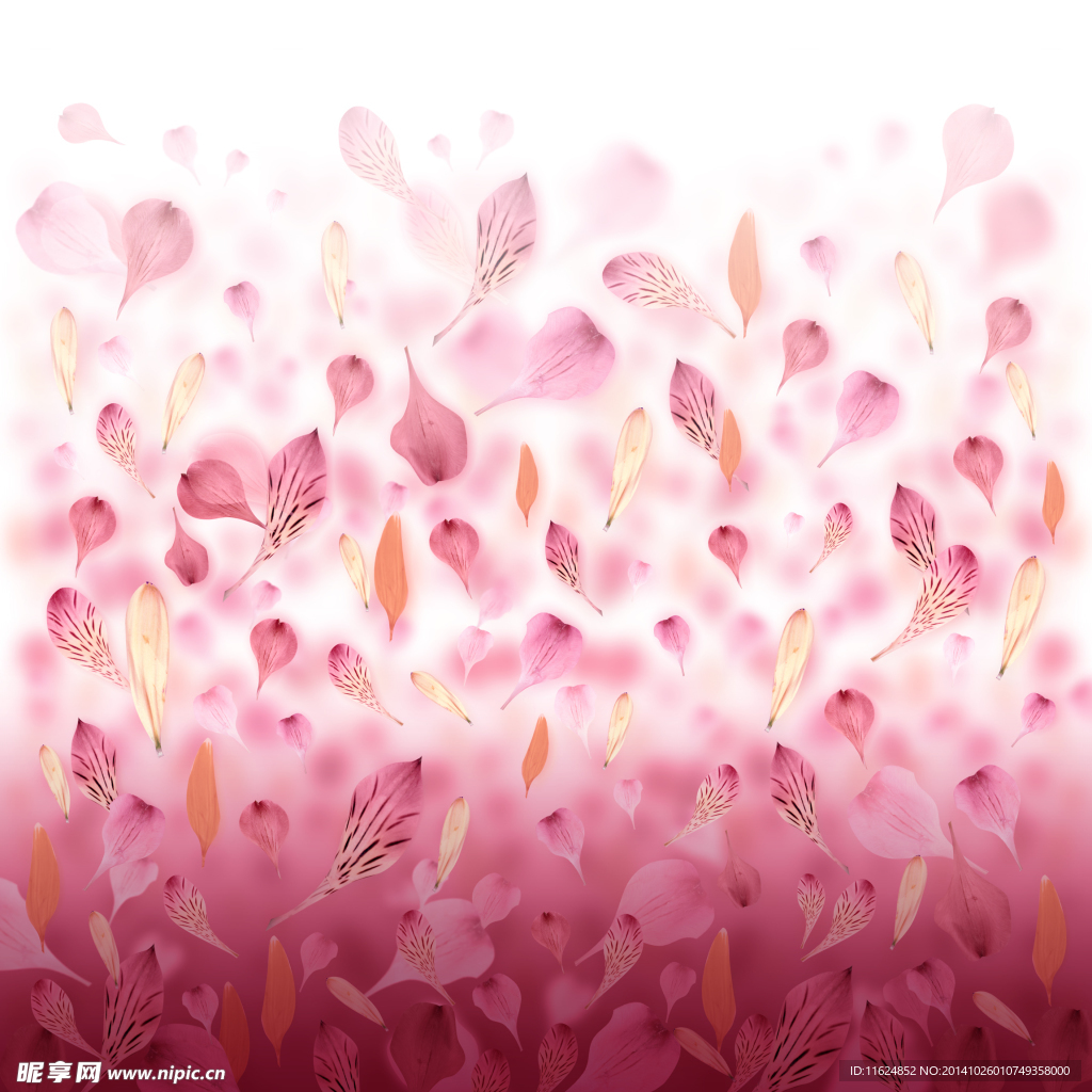 花瓣背景