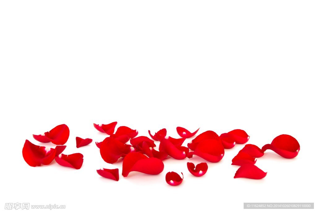 玫瑰花瓣