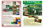 旅行社宣传单