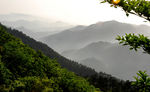 自然风景