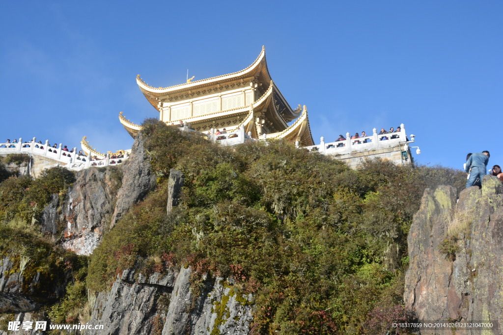 高山 绿树