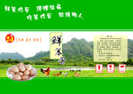 笨鲜蛋包装