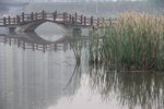 湿地风光