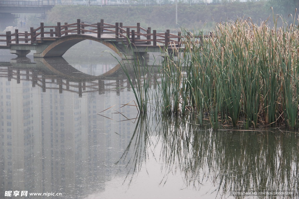 湿地风光