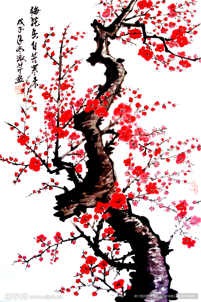 花卉国画