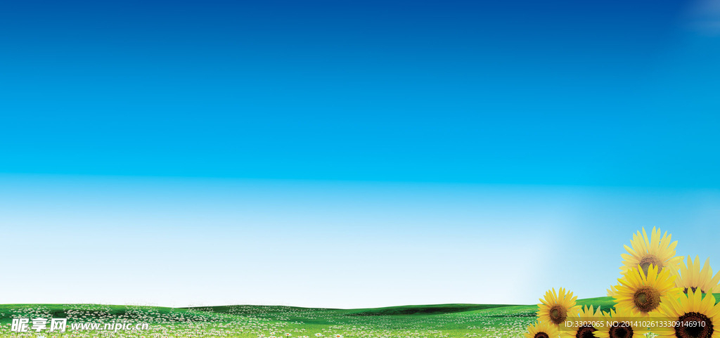葵花草地背景素材