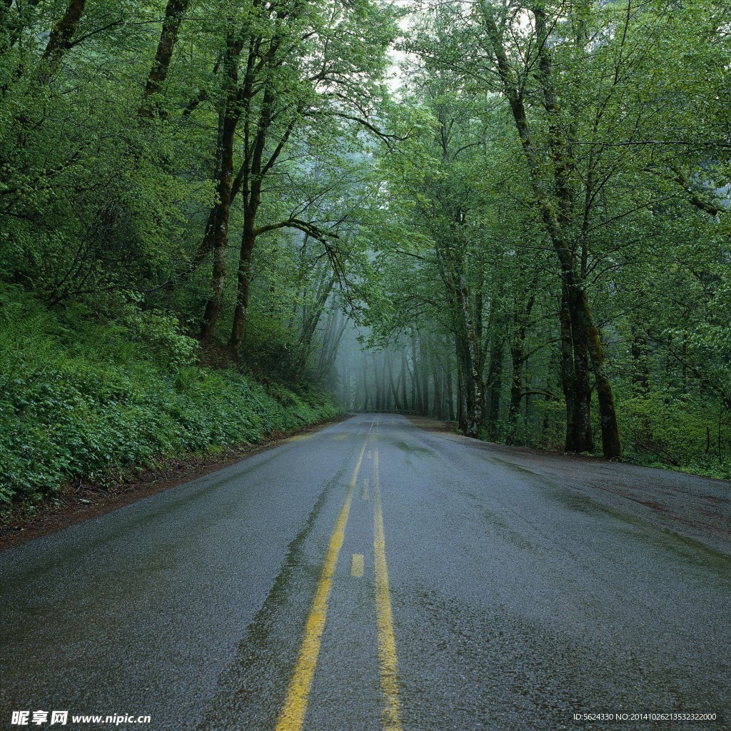 公路 道路