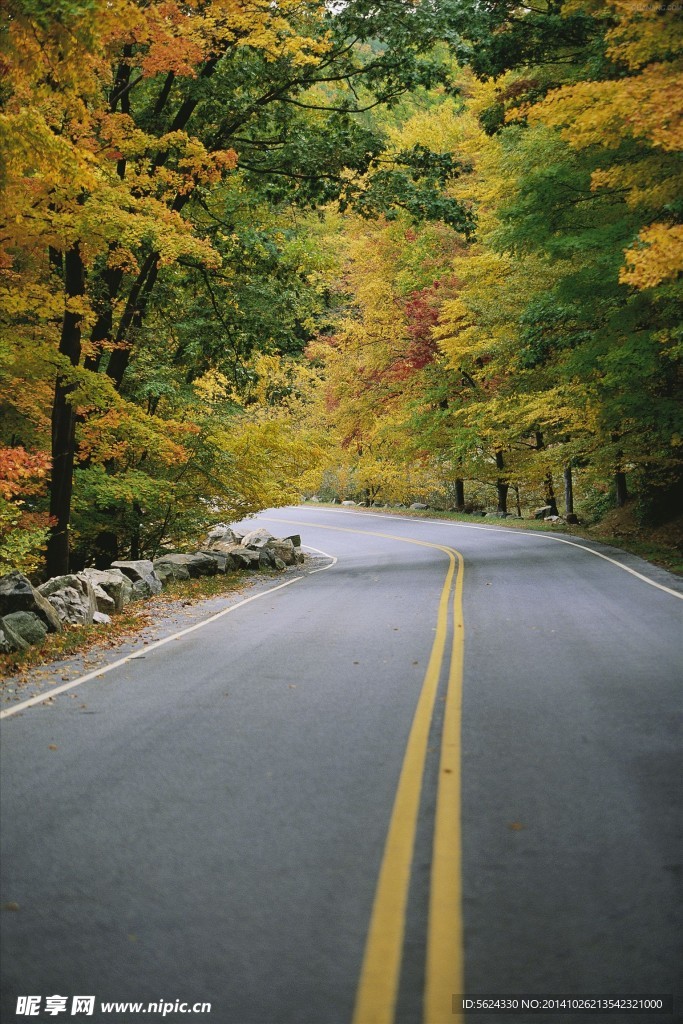 公路 道路