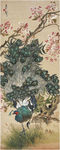 孔雀开屏图