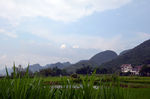 农村