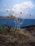 山水风景