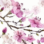 梅花无框画