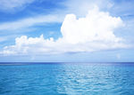 大海