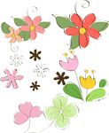 鲜花 花藤