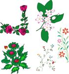 鲜花 花藤 矢量
