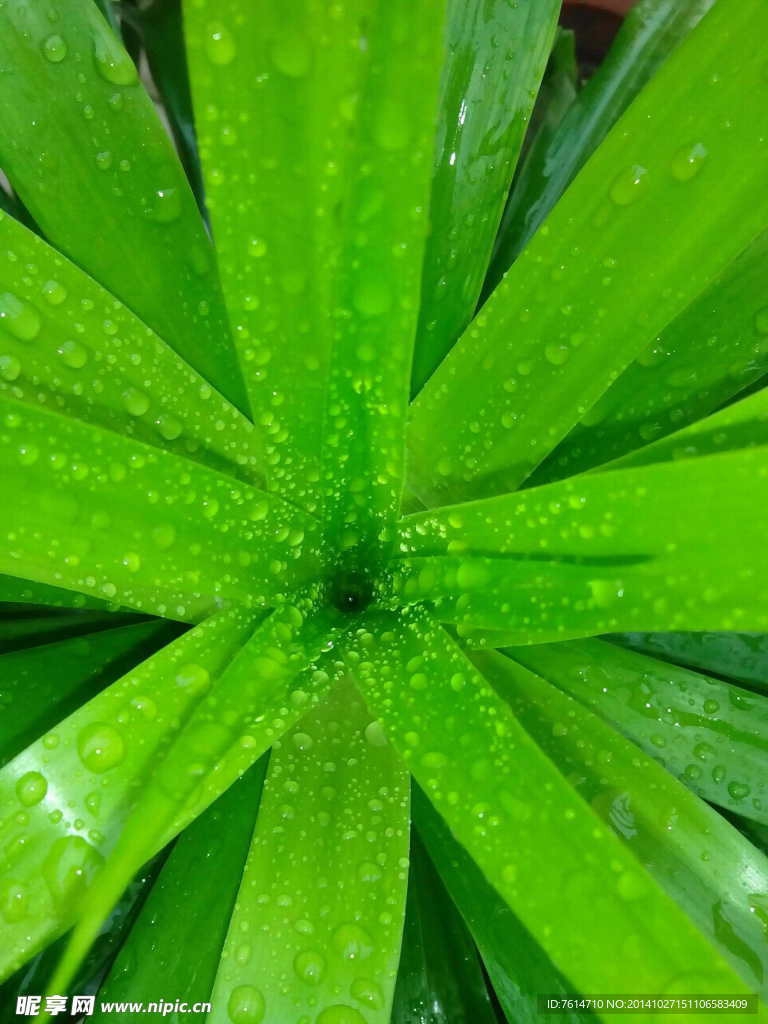 水中色