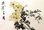 聚马凉石 菊花