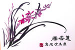 聚马凉石 兰花