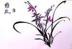 聚马凉石 兰花