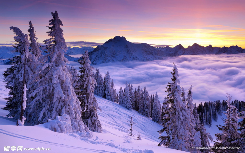 黄昏森林雪景